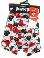 Boxer Angry Birds