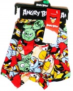 Boxer Angry Birds