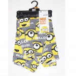 Boxer Les Minions