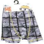 Boxer Les Minions